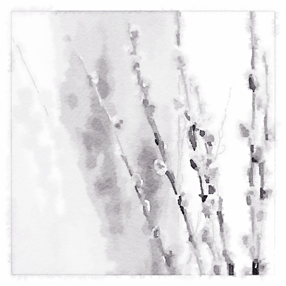 Painted in Waterlogue