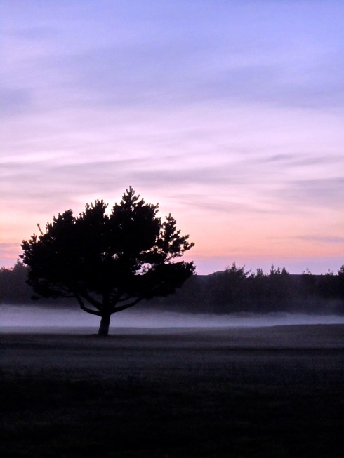 IMG_0005 - Version 5