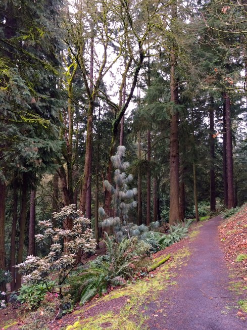 IMG_1623 - Version 3